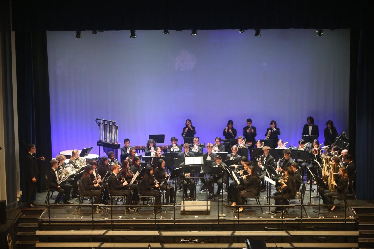 Overview: Symphonic Orchestra Winter Concert